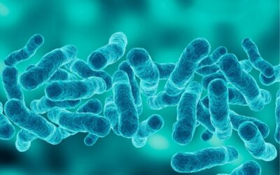 Analisi di Legionella pneumophila mediante PCR Real-Time: un approccio avanzato alla sorveglianza microbiologica