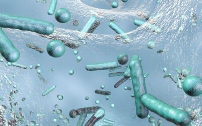 D.Lgs. 18/2023 e Legionella: cosa cambia per la qualità dell’acqua e come mettersi in regola