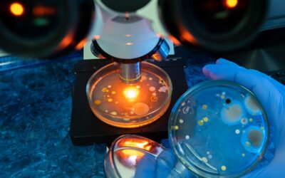 Analisi accreditata Accredia integratori alimentari, dispositivi medici e cosmetici: il nuovo progetto HR Bioanalysis